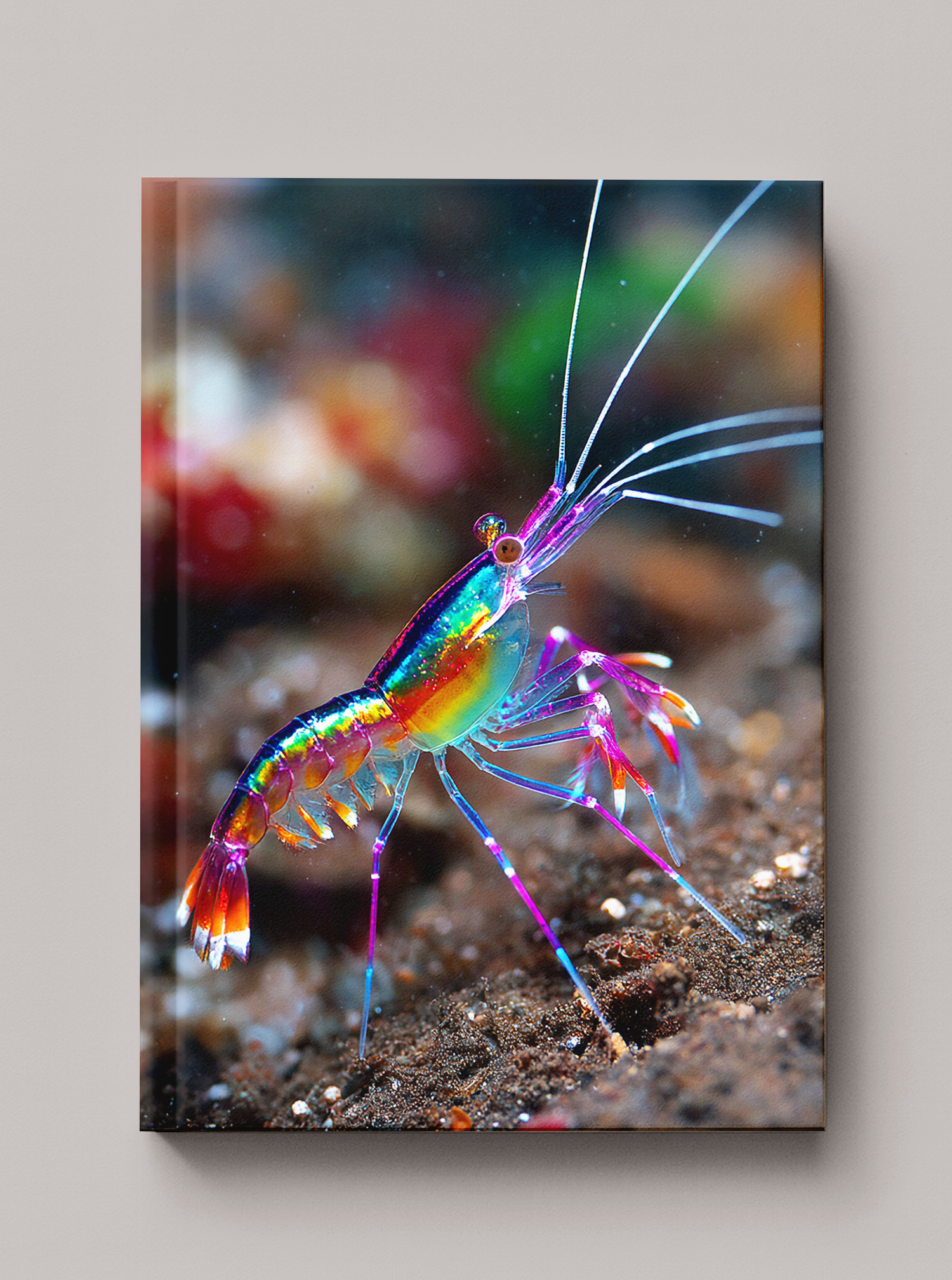 Iridescent rainbow mirror shrimp glowing with spectral color on the ocean floor — Sea in Color hardcover art
journal by Paint the Ocean Blue